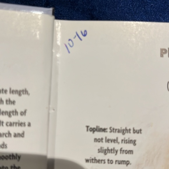 "Havanese" A Kennel Club Book - Picture 4 of 5